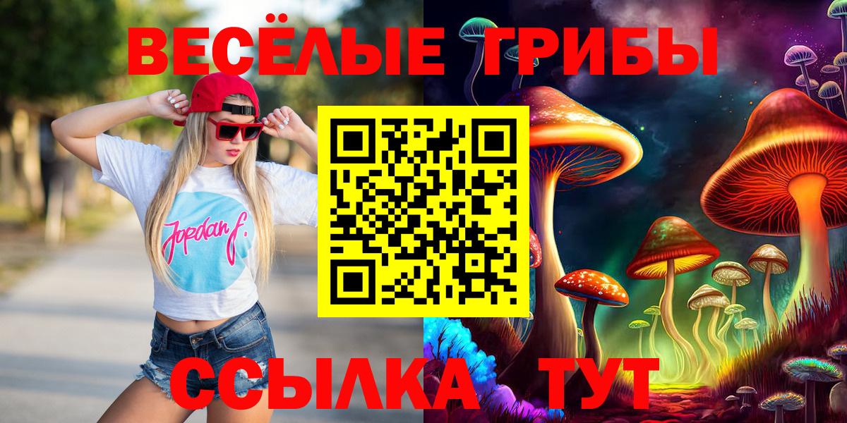 Галлюциногенные грибы мухоморы  как найти   Тула  Вход с VPN 